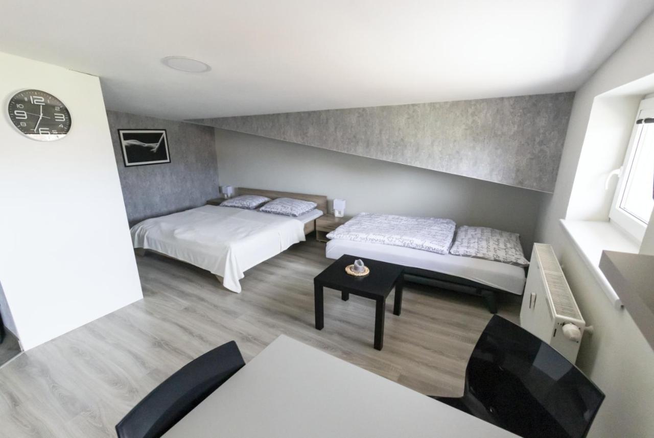 Apartman Theo Veľký Slavkov المظهر الخارجي الصورة